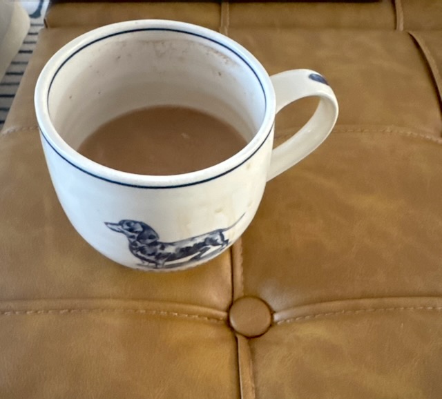 A pilot customer's photo of her mug of Essential™
